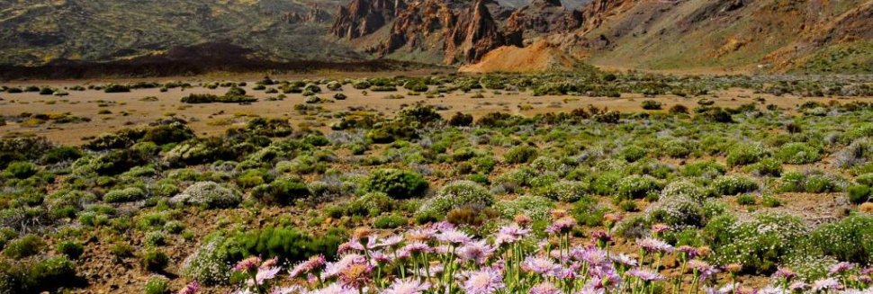 Канарские Острова Погода в Ноябре